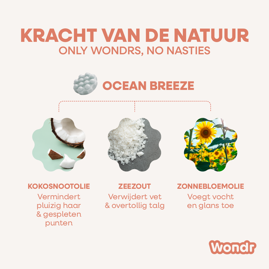 Brise Océane | Shampoing solide XL