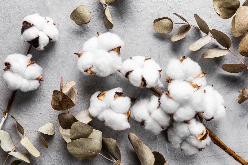 Coton